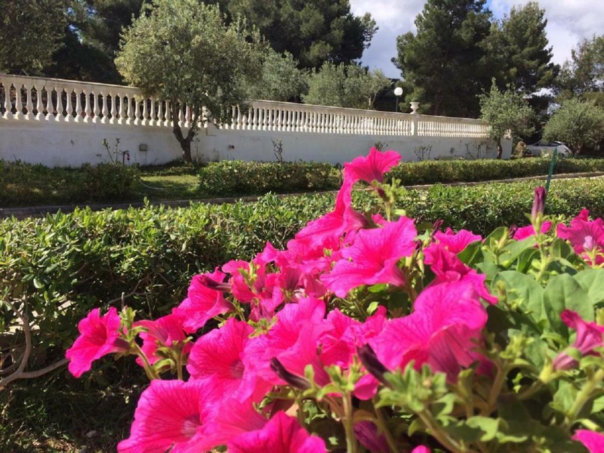 Villa Nunziatella Badia 트라페토 외부 사진